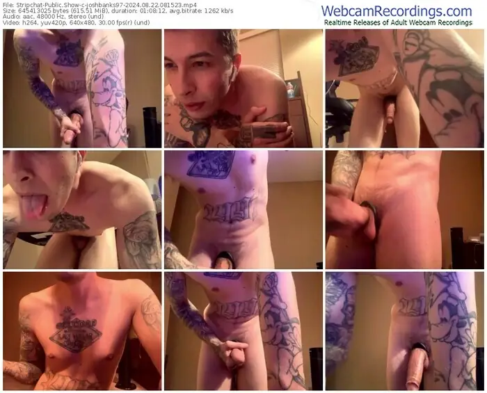 stripchat-joshbanks97-08-22-2024-08-15-23