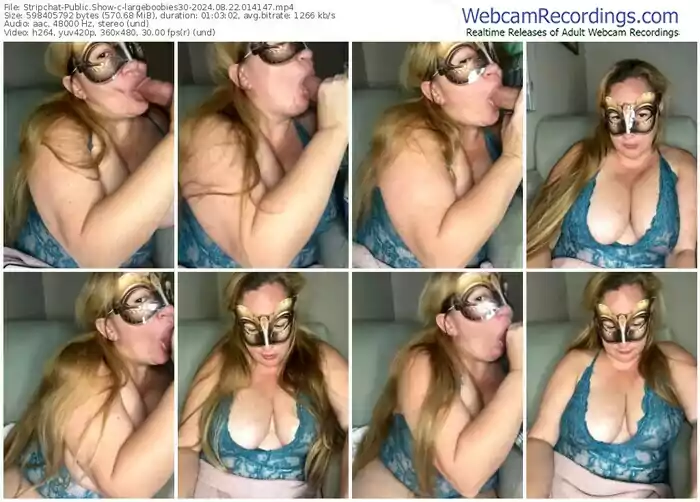 stripchat-largeboobies30-08-22-2024-01-41-47