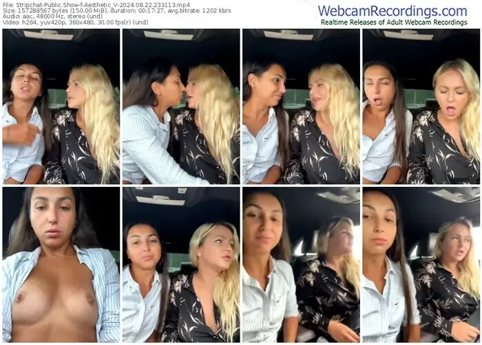 stripchat-aesthetic_v-08-22-2024-23-31-13