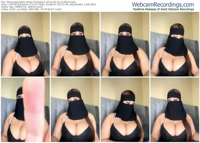 stripchat-dina012-08-22-2024-21-46-19