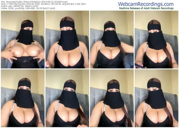 stripchat-dina012-08-22-2024-22-34-00