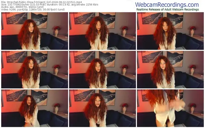 stripchat-diligent_girl-08-22-2024-22-15-11