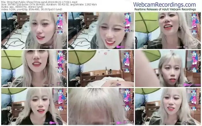 stripchat-fine-sand-08-22-2024-17-33-11