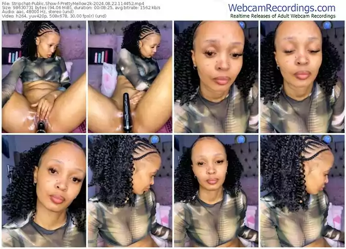 stripchat-prettymellow2k-08-22-2024-11-44-52