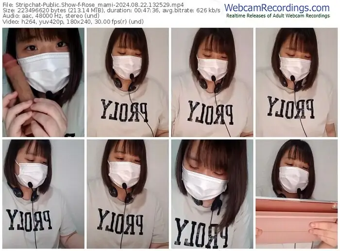 stripchat-rose_mami-08-22-2024-13-25-29