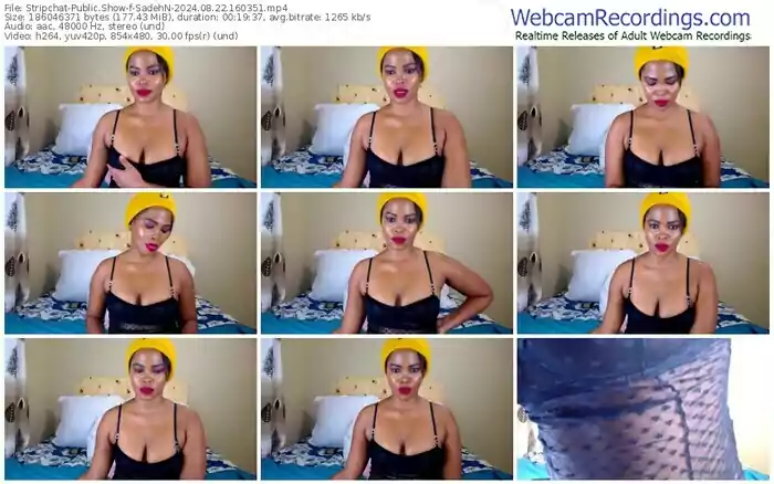 stripchat-sadehn-08-22-2024-16-03-51