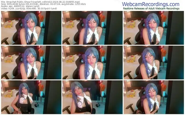 stripchat-scarlett_collins02-08-22-2024-00-48-55