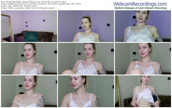 stripchat-touch_me-08-22-2024-13-25-10
