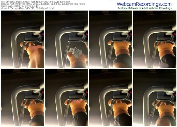 stripchat-f3ckdolllucy-08-22-2024-19-29-50