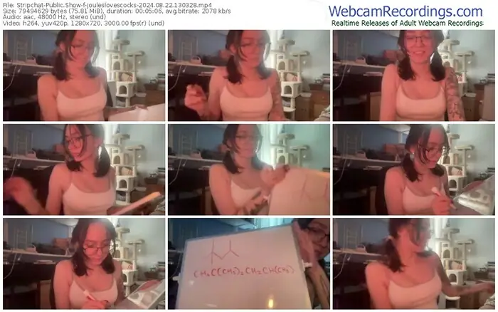 stripchat-jouleslovescocks-08-22-2024-13-03-28