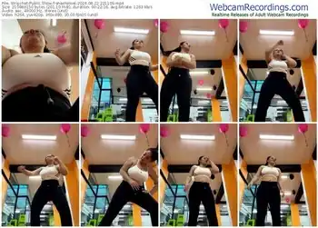 stripchat-shashemel-08-22-2024-22-11-09