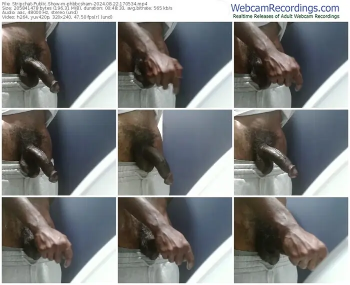 stripchat-phbbcsham-08-22-2024-17-05-34