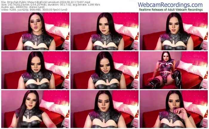 stripchat-bigdickcumsalot-08-22-2024-17-24-07