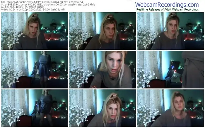 stripchat-tspostophere-08-22-2024-12-20-27