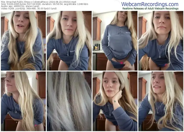 stripchat-celestialfoxxx-08-23-2024-15-50-10