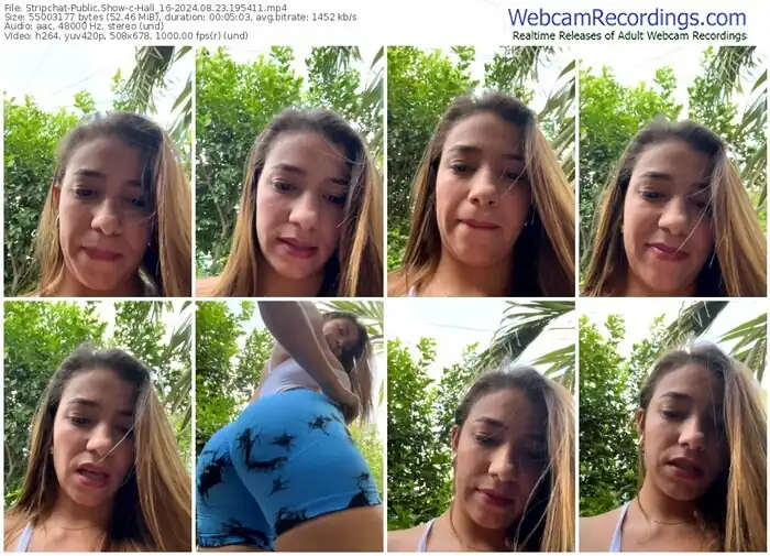 stripchat-hall_16-08-23-2024-19-54-11