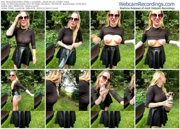 stripchat-june695_-08-23-2024-17-58-07