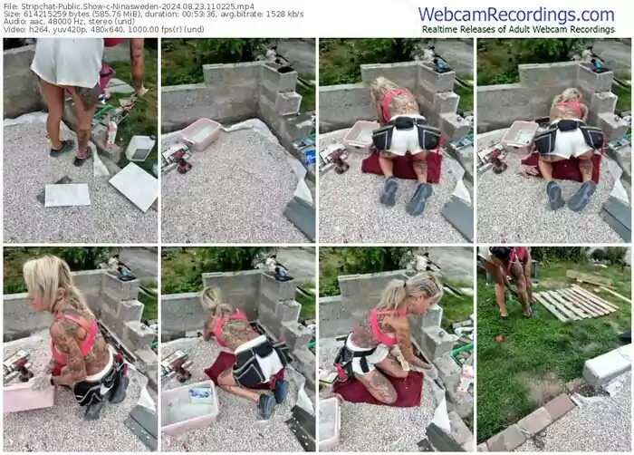 stripchat-ninasweden-08-23-2024-11-02-25