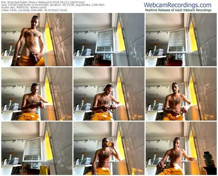 stripchat-rebeu313-08-23-2024-12-42-55