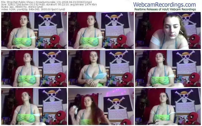 stripchat-snowbunnycake_131-08-23-2024-00-04-23