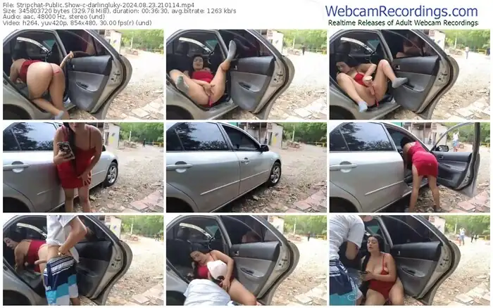 stripchat-darlingluky-08-23-2024-21-01-14