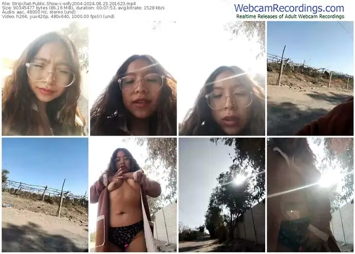 stripchat-sofy2004-08-23-2024-20-16-23