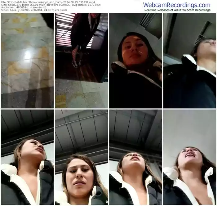 stripchat-valeryn_and_harry-08-23-2024-03-07-34