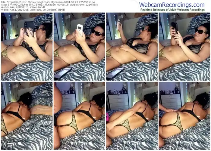 stripchat-vogliosabustydream-08-23-2024-22-57-38