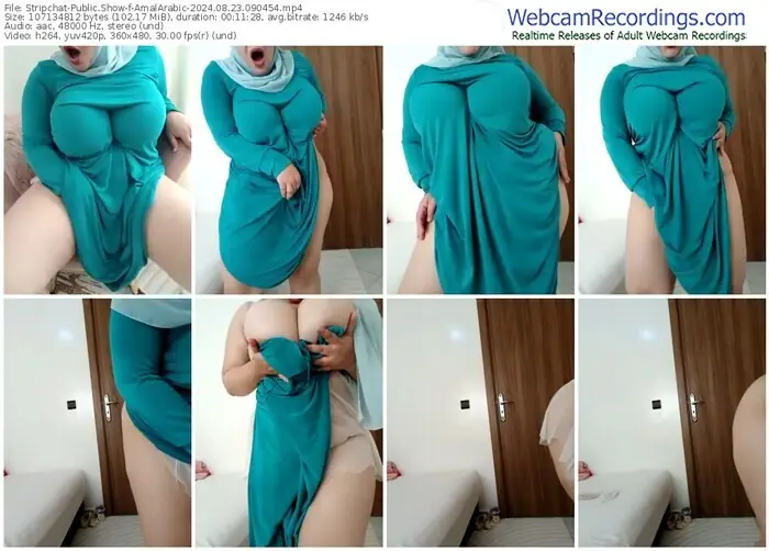 stripchat-amalarabic-08-23-2024-09-04-54