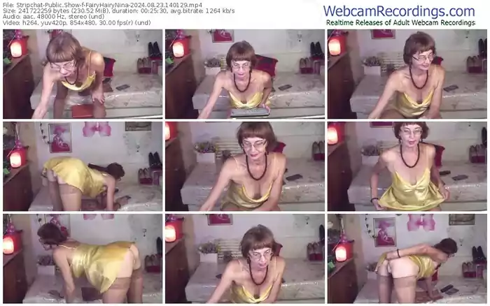 stripchat-fairyhairynina-08-23-2024-14-01-29