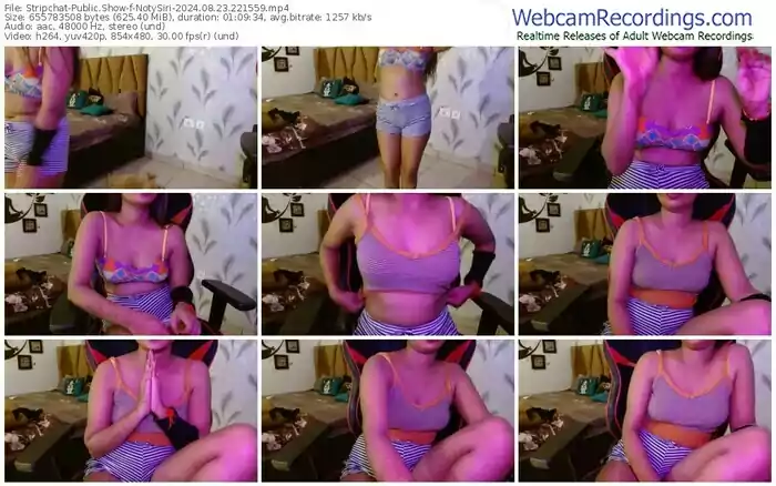 stripchat-notysiri-08-23-2024-22-15-59