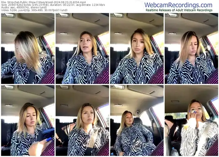 stripchat-stasywood-08-23-2024-01-40-34