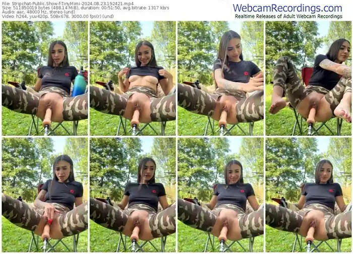 stripchat-tinymimi-08-23-2024-19-24-21