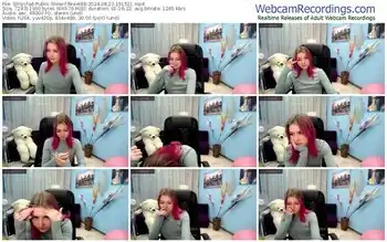 stripchat-tweet88-08-23-2024-19-15-21