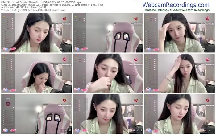 stripchat-uu-1314-08-23-2024-00-25-58