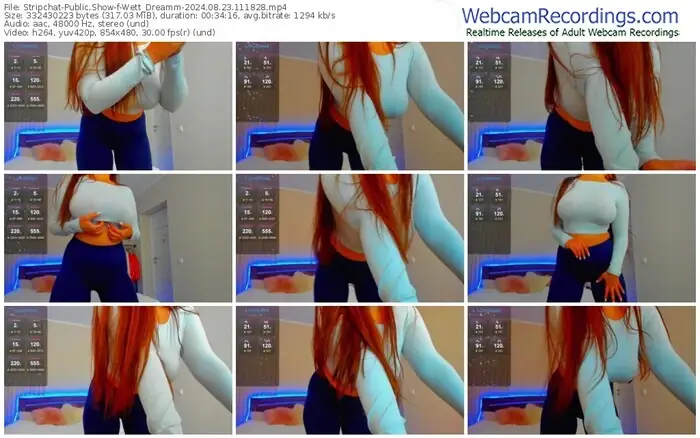 stripchat-wett_dreamm-08-23-2024-11-18-28
