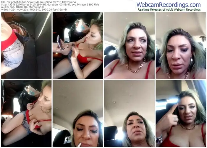 stripchat-dilam--08-23-2024-11-00-53
