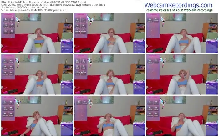 stripchat-stellahere8-08-23-2024-17-19-17