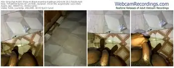 stripchat-black-mamba-madingo-08-23-2024-17-50-28