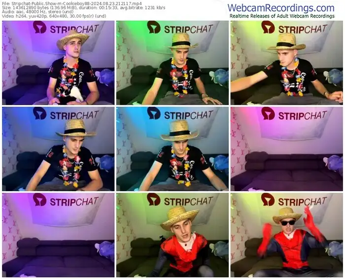 stripchat-cookieboy88-08-23-2024-21-21-17