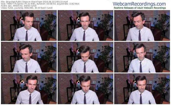 stripchat-stevetiger-08-23-2024-16-01-19
