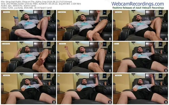 stripchat-the_alpha_dog-08-23-2024-15-27-18