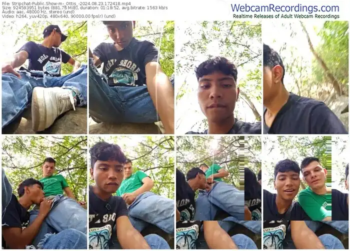 stripchat-_ottis_-08-23-2024-17-24-18