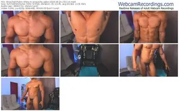 stripchat-exquisite_gabe-08-23-2024-23-11-14