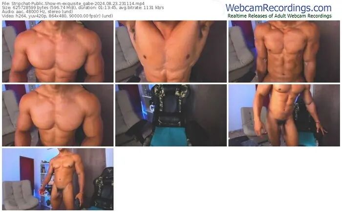 stripchat-exquisite_gabe-08-23-2024-23-11-14