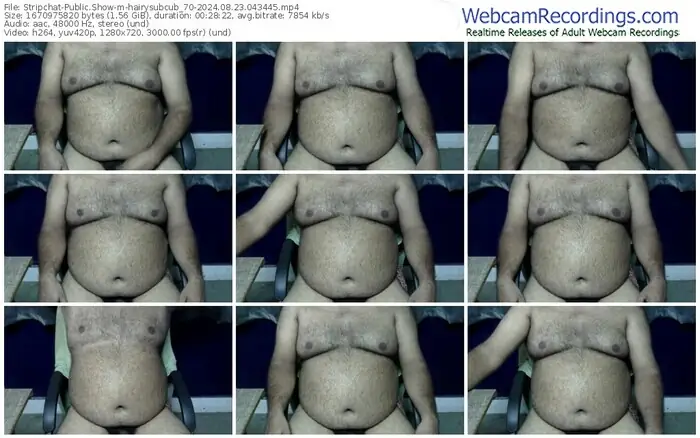 stripchat-hairysubcub_70-08-23-2024-04-34-45