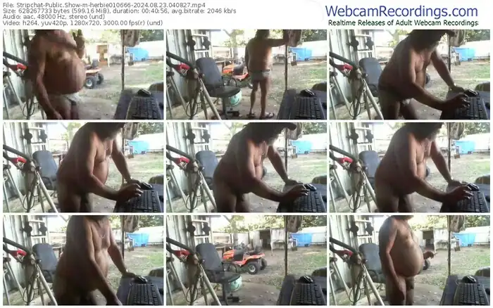 stripchat-herbie010666-08-23-2024-04-08-27