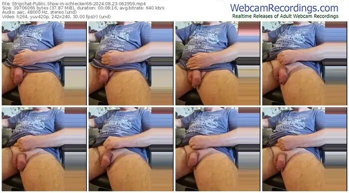 stripchat-schlecker66-08-23-2024-06-29-59