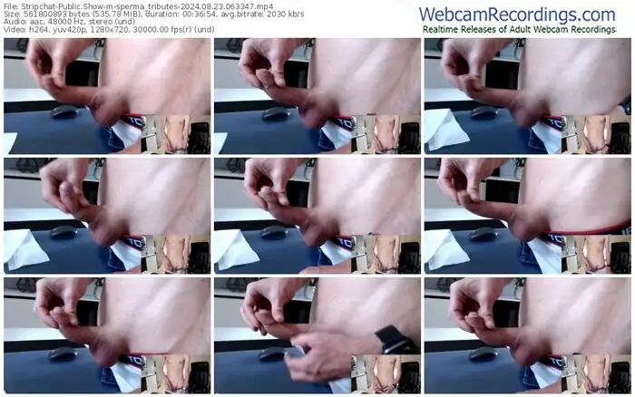 stripchat-sperma_tributes-08-23-2024-06-33-47