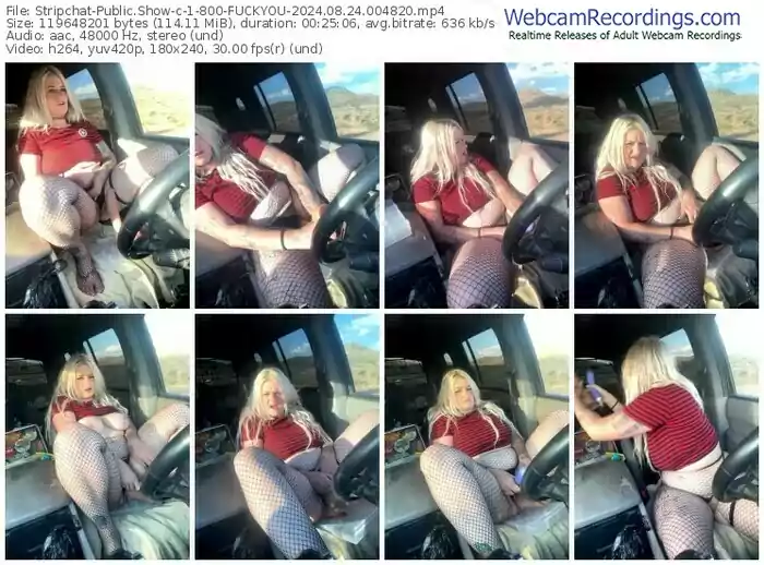 stripchat-1-800-fuckyou-08-24-2024-00-48-20